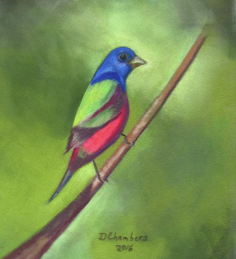 Painted Bunting Painting by Donna Chambers