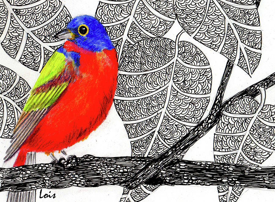 Bunting Drawing - Painted Bunting by Lois Davis