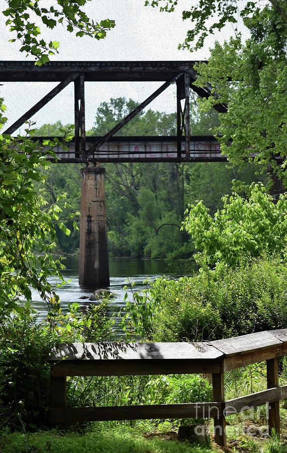 Painted Congaree Four Photograph by Skip Willits