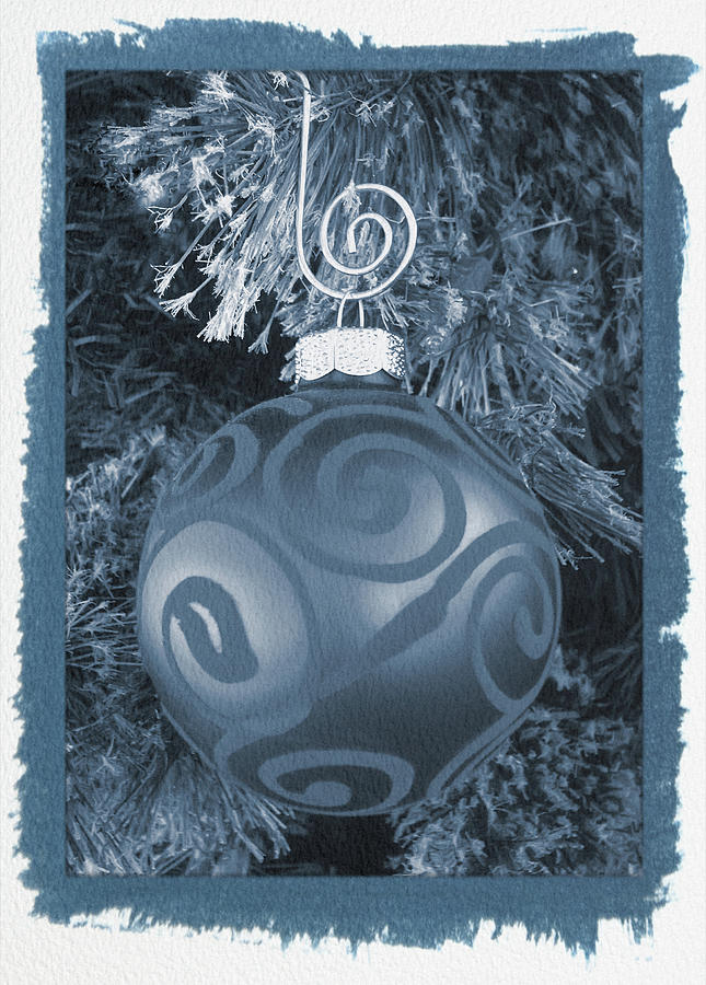 Painted Cyanotype Christmas Ornament Photograph by Aimee L Maher ALM GALLERY