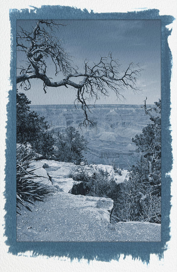 Painted Cyanotype Grand Canyon 2 Photograph by Aimee L Maher ALM GALLERY