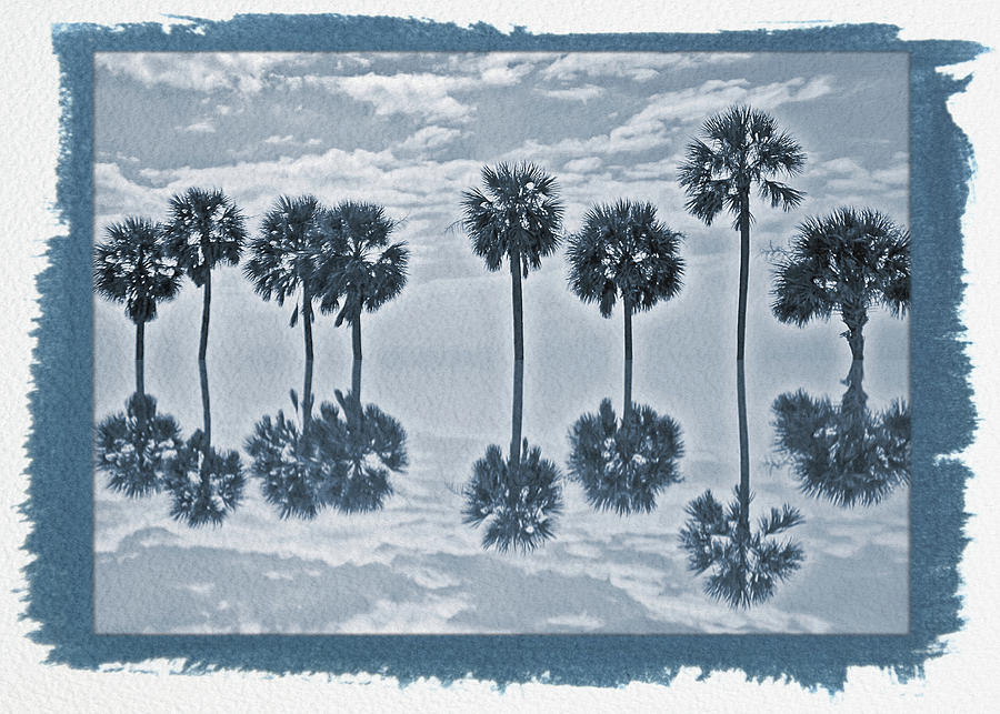 Painted Cyanotype Palm Tree Reflection Photograph by Aimee L Maher ALM GALLERY