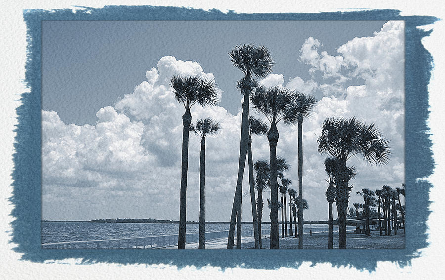 Painted Cyanotype Palms Blowing Photograph