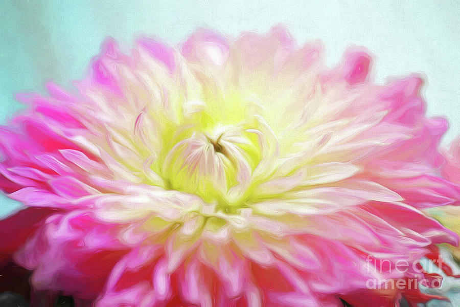 Painted Dahlia Photograph by Sylvia Cook
