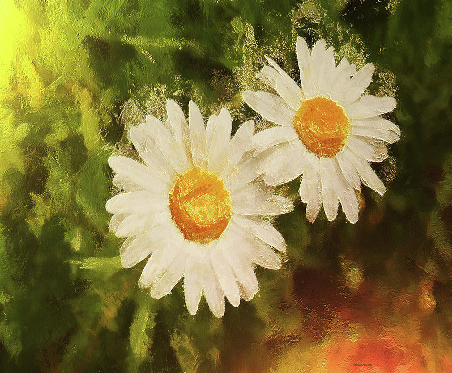 Painted Daisies Photograph by Reese Lewis