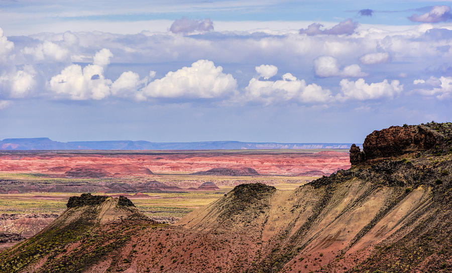 Painted Desert 2 Photograph by Betty Eich