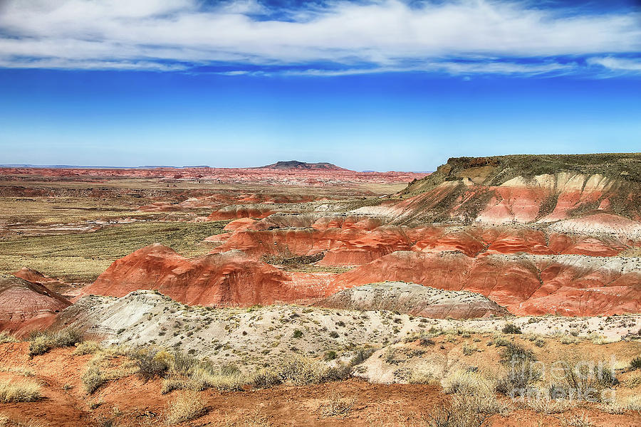 Painted Desert 2 Photograph by Teresa Zieba