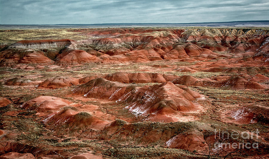 Painted Desert Arizona Photograph by Susan Warren