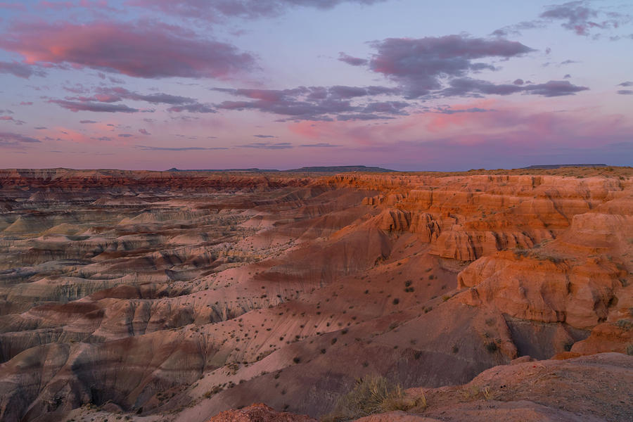 Painted Desert Dream Photograph by Steve Luther | Fine Art America