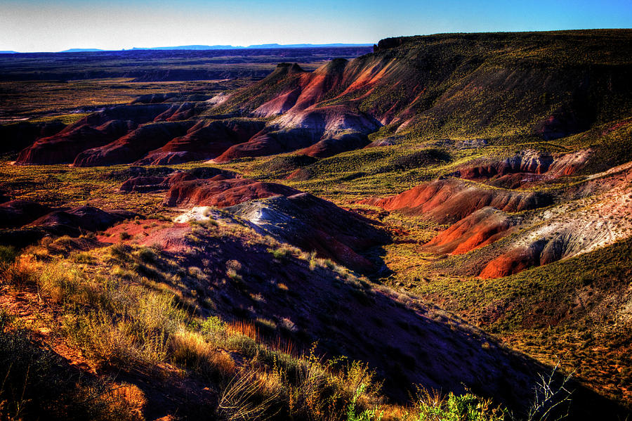 Painted Desert from Nizhoni Point Photograph by Roger Passman