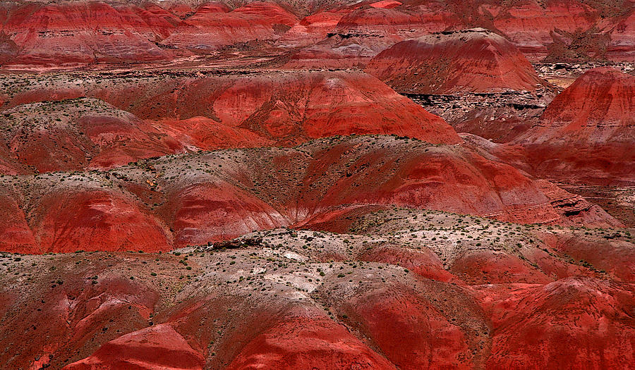 Painted Desert Photograph by Joe Kozlowski
