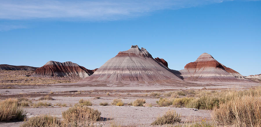 Desert Photograph - Painted Desert by Joe Tabb