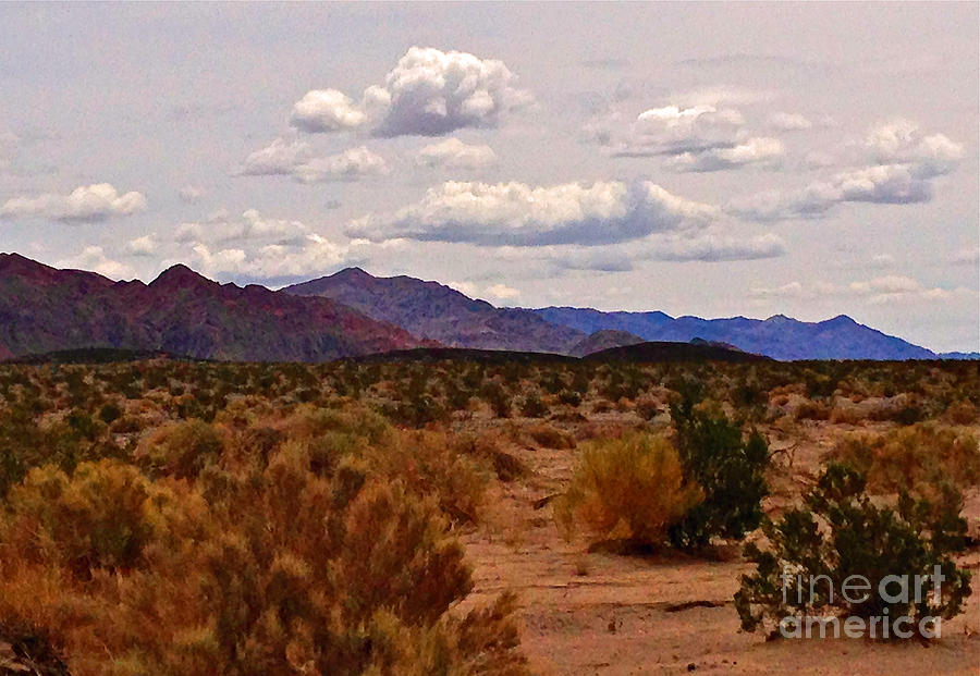 Desert Photograph - Painted Desert by Michael Cinnamond