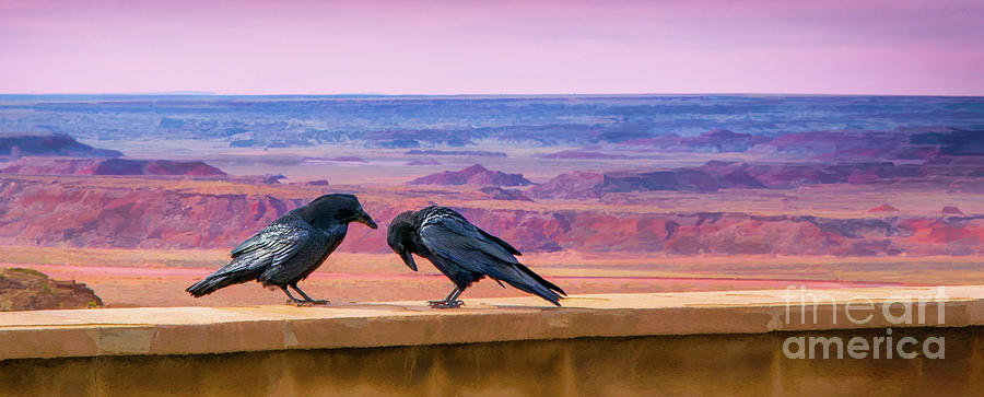 Bird Photograph - Painted Desert Pals by Susan Warren