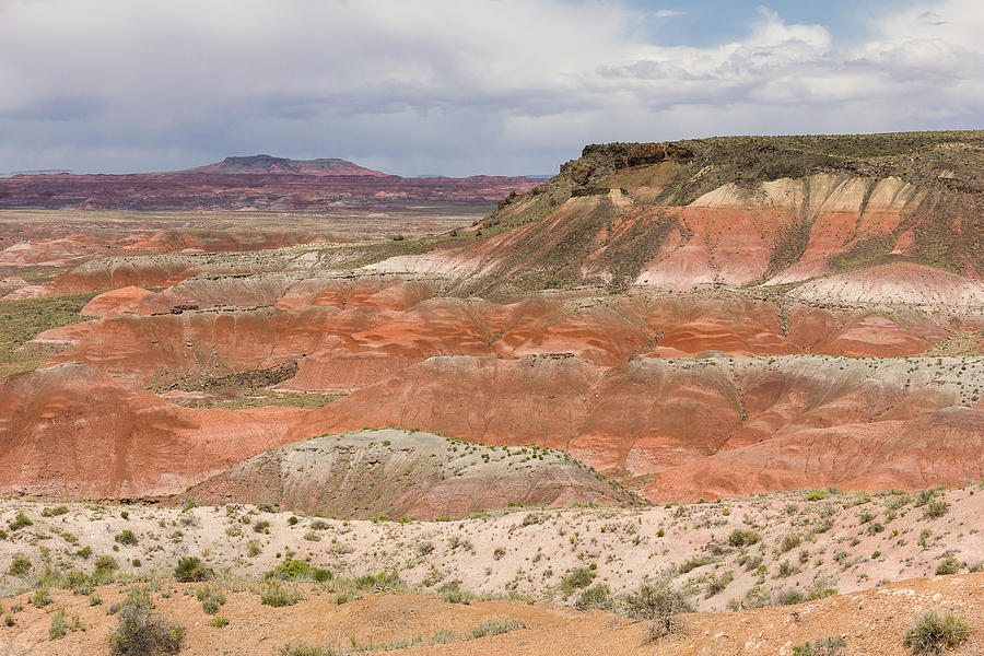 Painted Desert Photograph by Penny Meyers