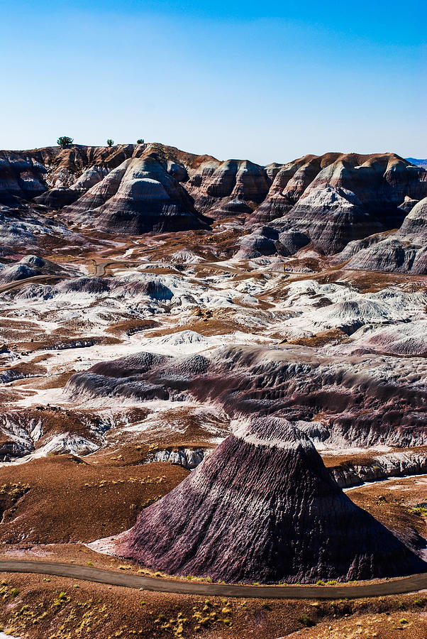 Nature Photograph - Painted Desert Purple Peak by David Waldo