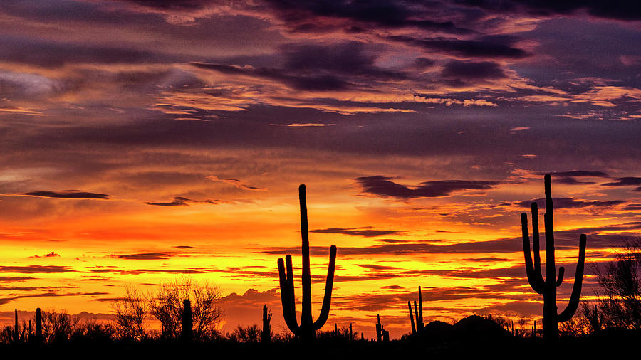 Sunset Photograph - Painted Desert Skies At Sunset  by Saija Lehtonen