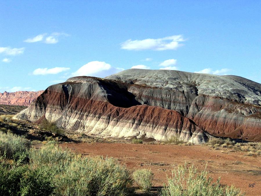 Painted Desert Photograph by Will Borden