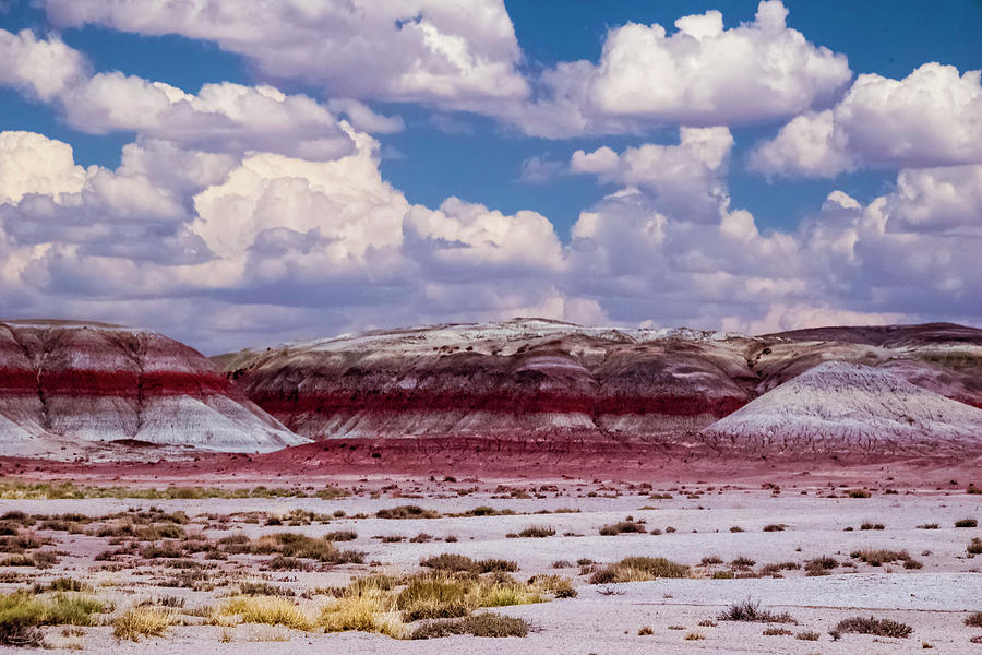 Painted Desert Photograph by Will Burlingham