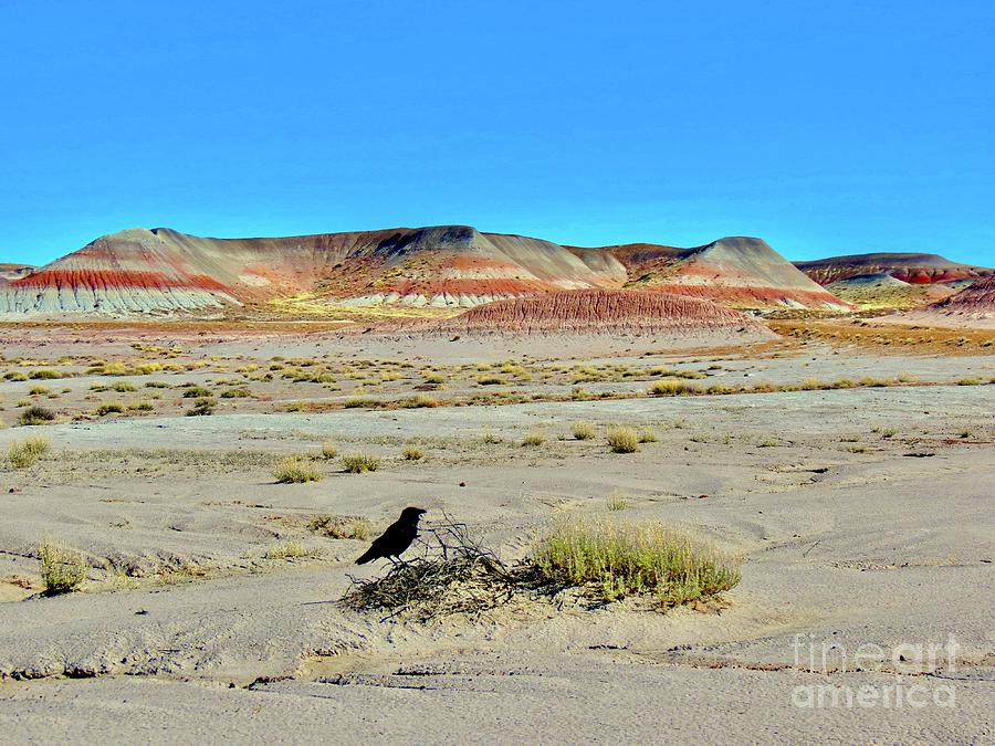 Painted Desert with Raven No. 1 Photograph by Aimee Mouw