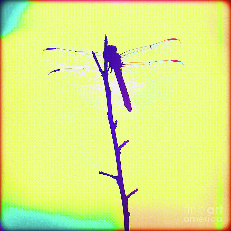 Painted Dragonfly I Painting by Chris Andruskiewicz