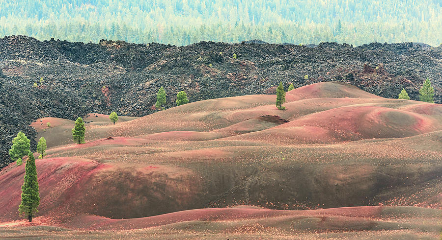 Lassen Volcanic National Park Photograph - Painted Dunes by Tran Boelsterli
