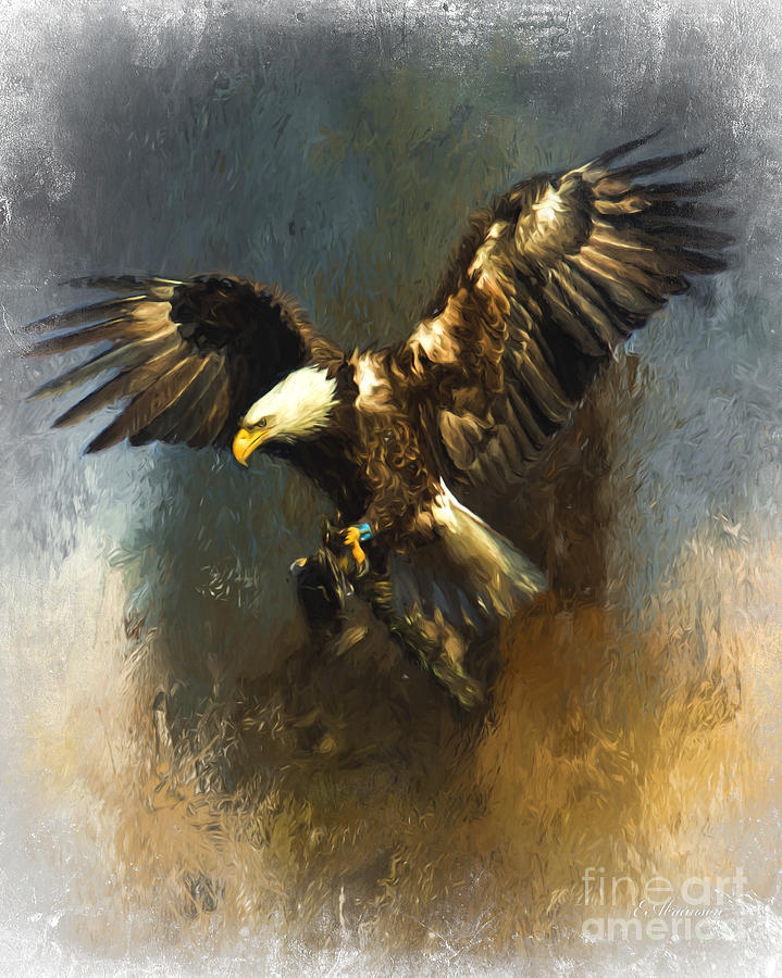Painted Eagle Photograph by Eleanor Abramson