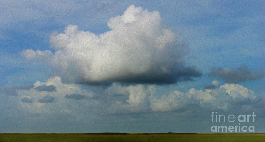 Painted Everglades Photograph by Skip Willits