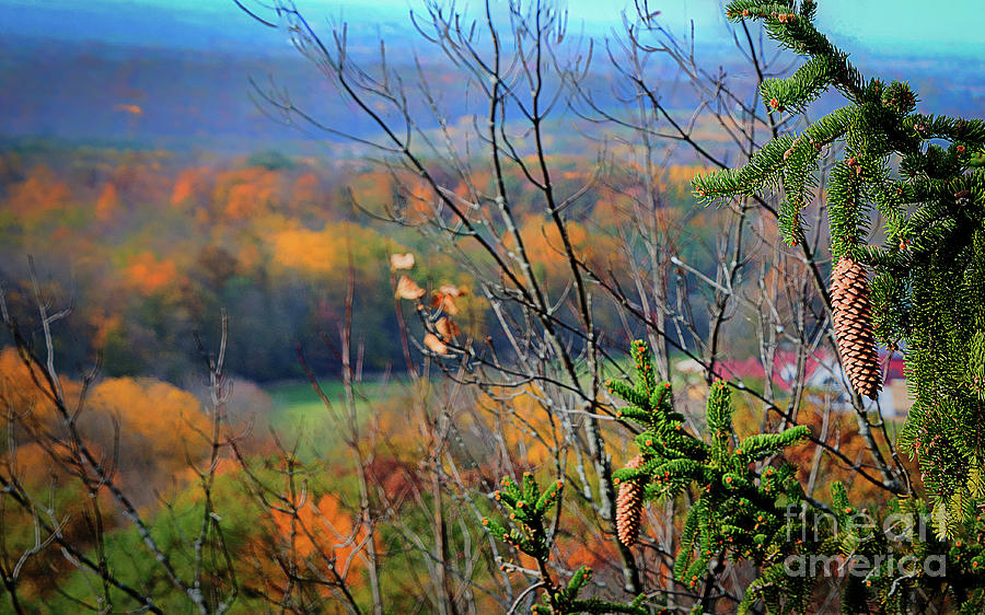  Painted Fall Photograph by Deborah Klubertanz
