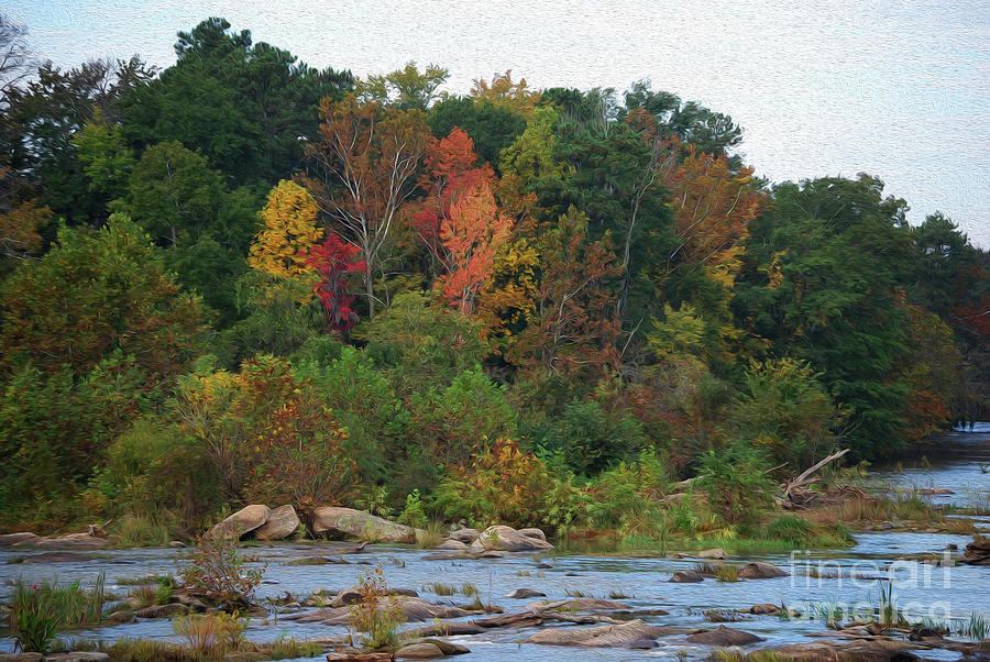 Painted Fall On The Broad River Photograph by Skip Willits