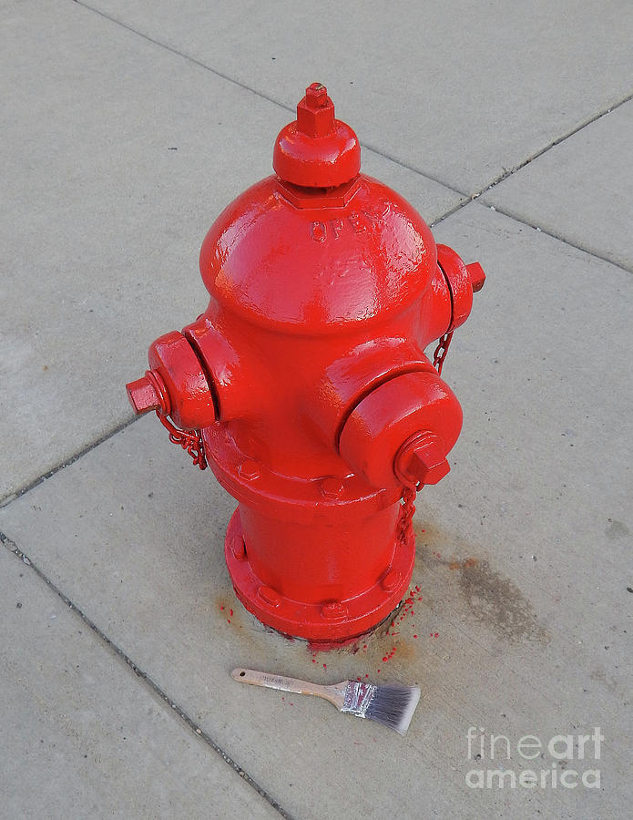 Painted Fire Hydrant Photograph by Phil Perkins