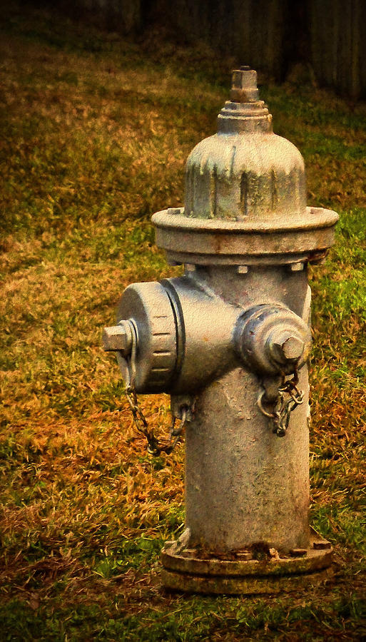 Painted Fireplug Photograph by Dave Bosse