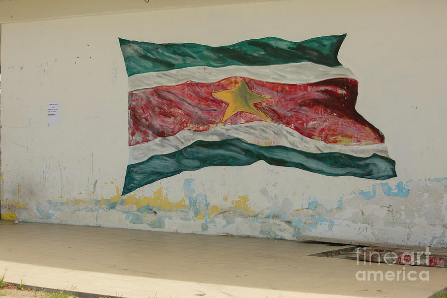 Painted flag of Suriname Photograph by Patricia Hofmeester