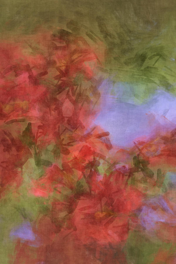 Painted Flowers Photograph by Julie Lueders Painted Flowers Photograph by Julie Lueders