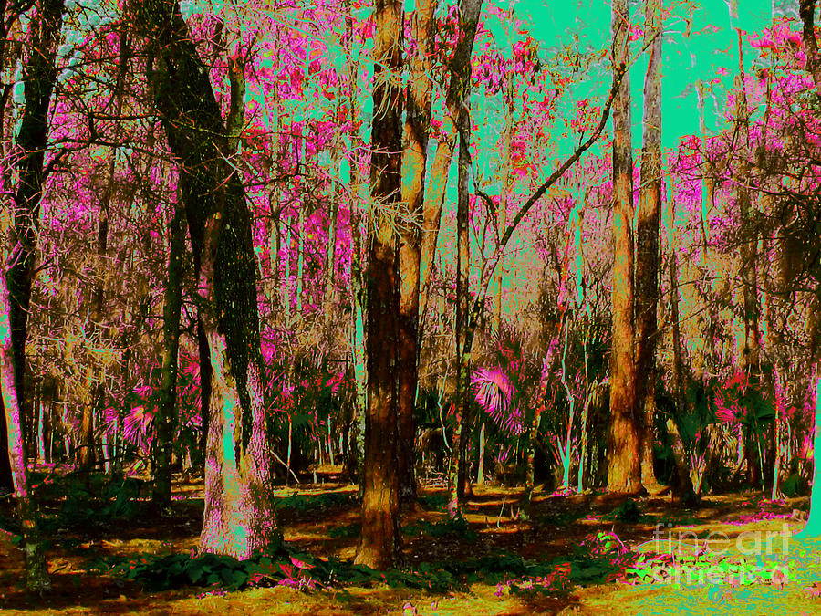 Painted Forest Digital Art by Keri West
