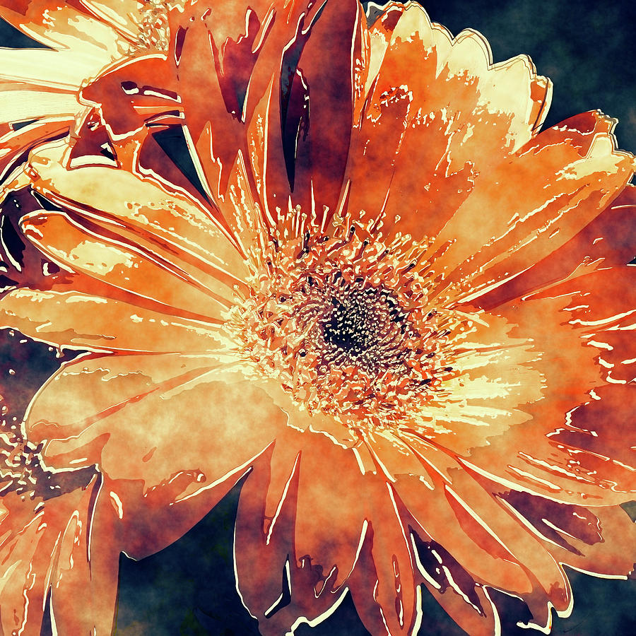 Painted Gerbera Daisies 4 - Orange Marmalade Photograph by HH Photography of Florida