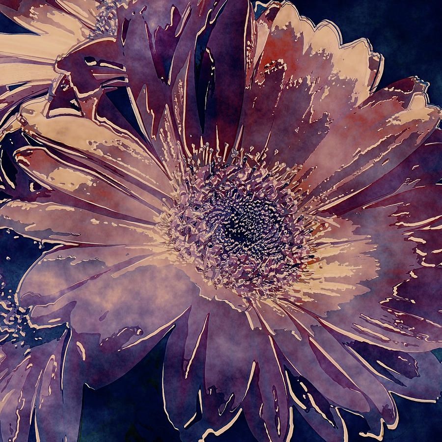Painted Gerbera Daisies Photograph by HH Photography of Florida