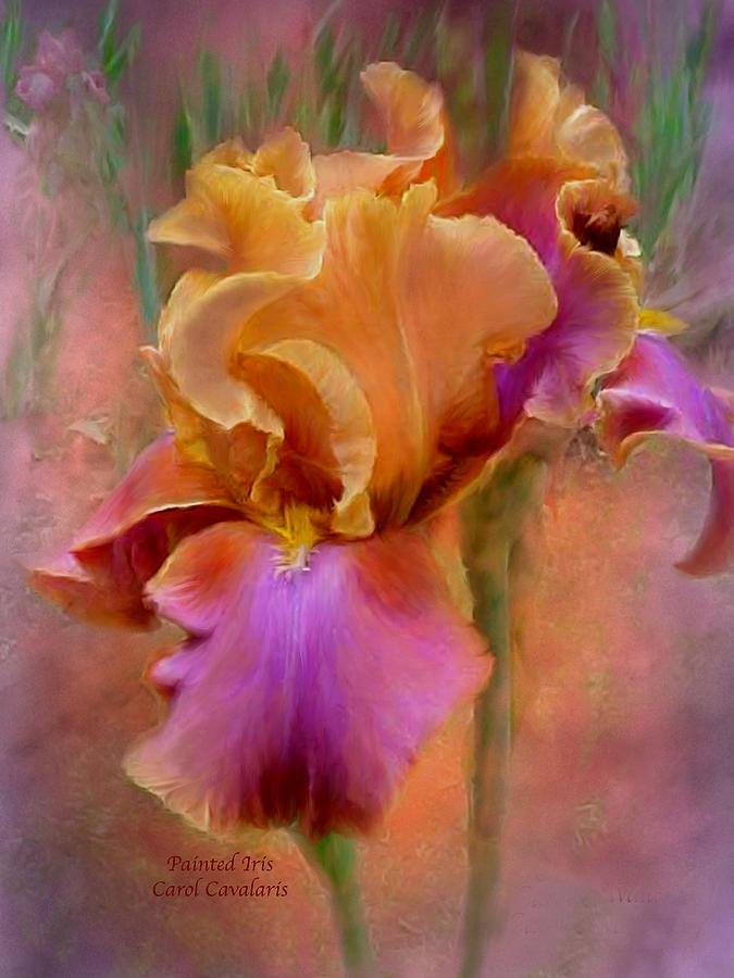 Iris Mixed Media - Painted Goddess - Iris by Carol Cavalaris