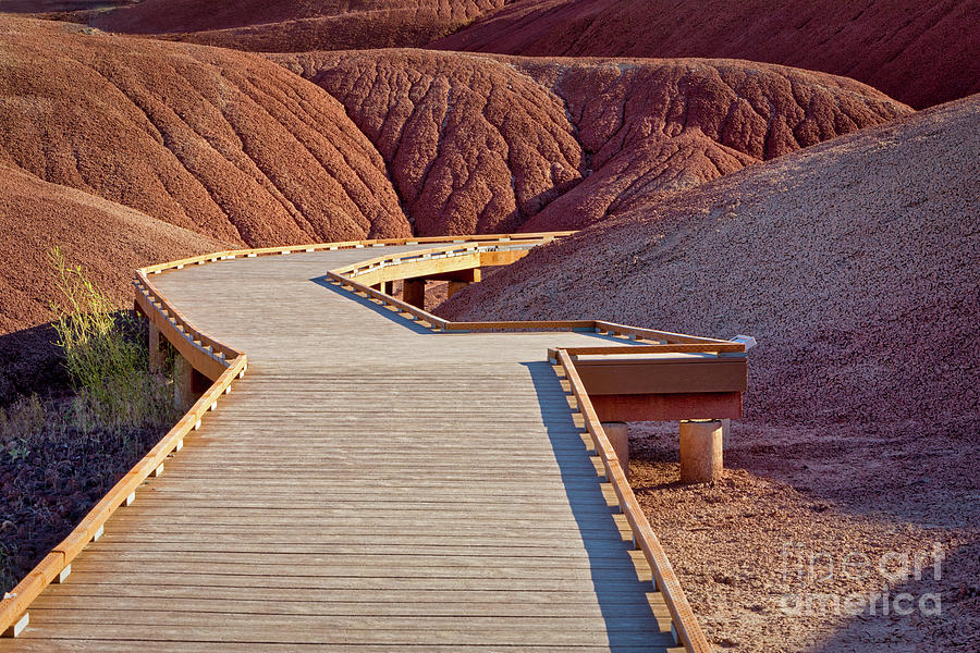 Painted Hills Boardwalk Photograph by Jerry Fornarotto