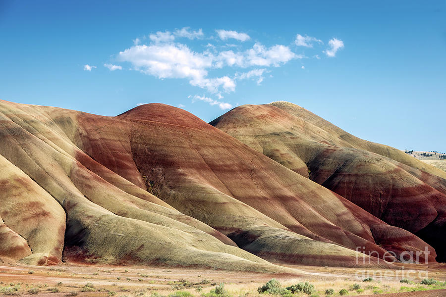 Nature Photograph - Painted Hills Colors by Jerry Fornarotto