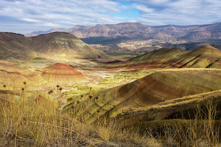 Hills Photograph - Painted Hills by Corey OHara Hills Photograph - Painted Hills by Corey OHara