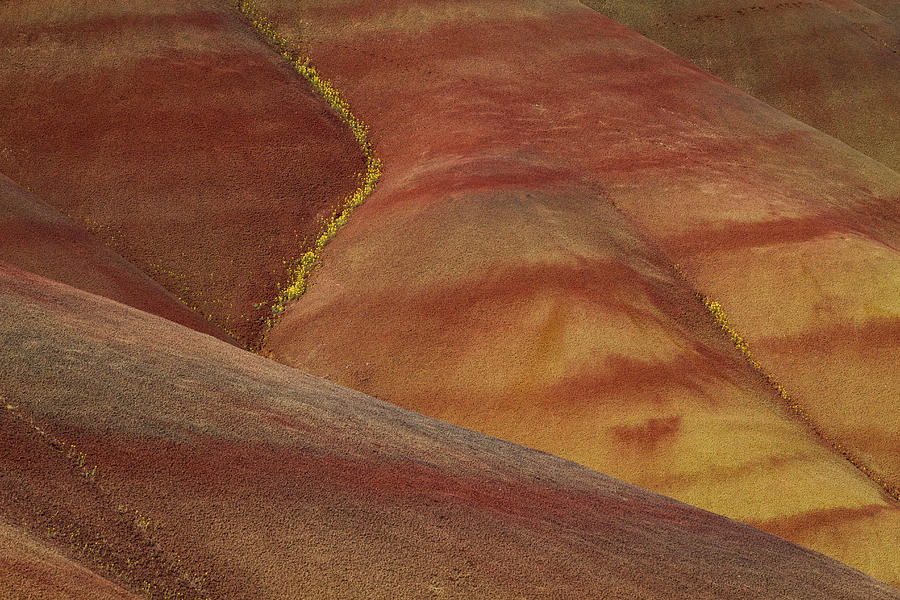 Painted Hills Diagonal Photograph by Jean Noren