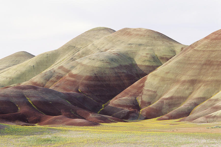 Painted Hills Photograph by Greg Vaughn - Printscapes