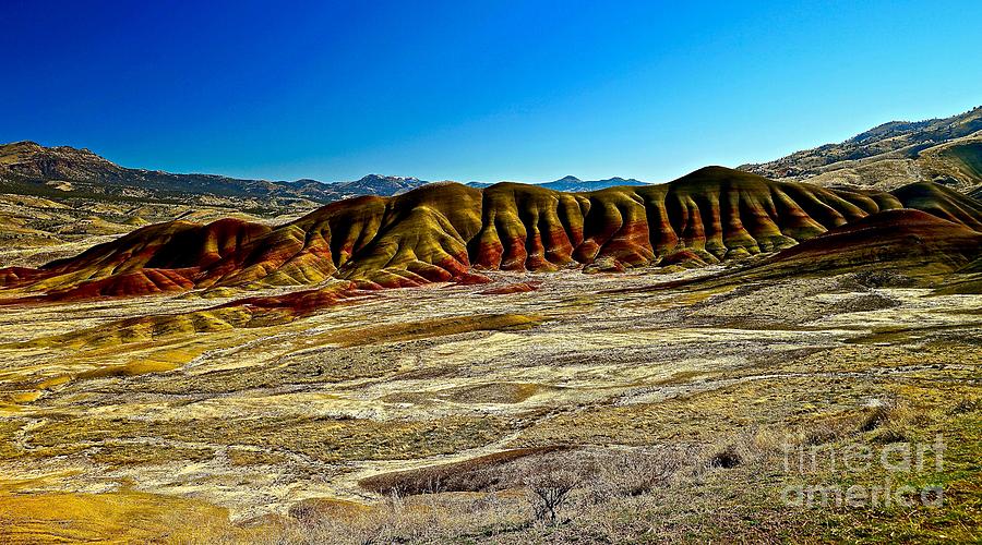 Painted Hills of Oregon Photograph by Michael Cinnamond
