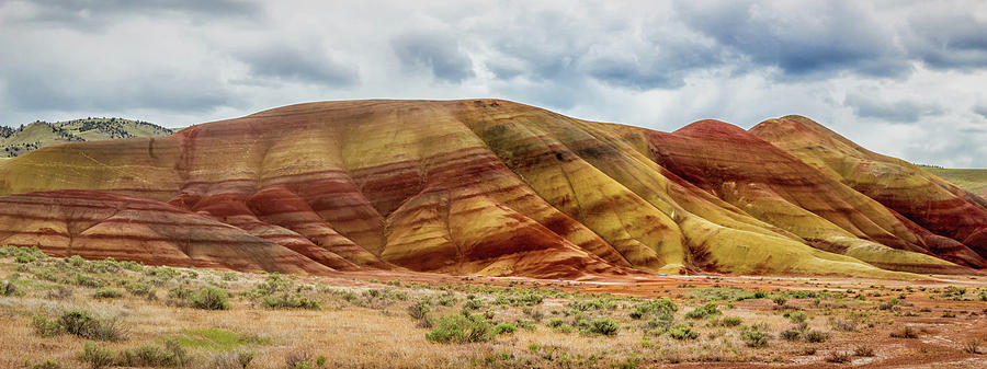 Painted Hills Panorama 2 Photograph by Marnie Patchett