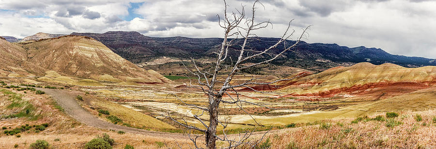 Painted Hills Panorama 3 Photograph by Marnie Patchett