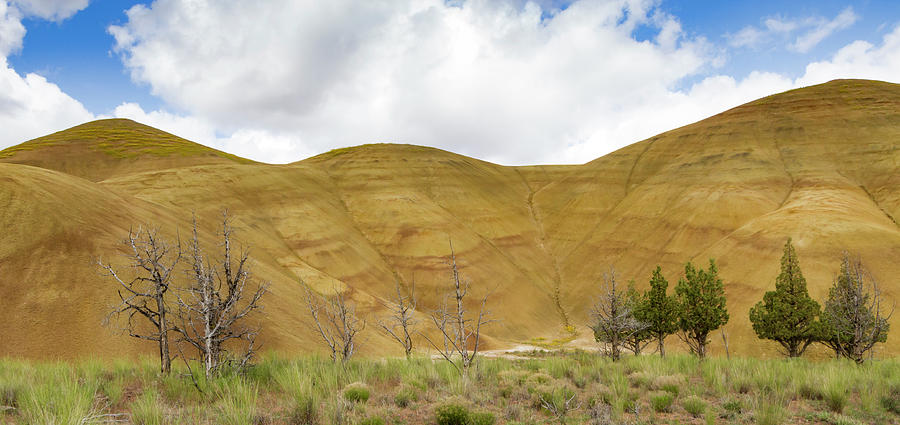 Painted Hills Panorama Photograph by Jean Noren