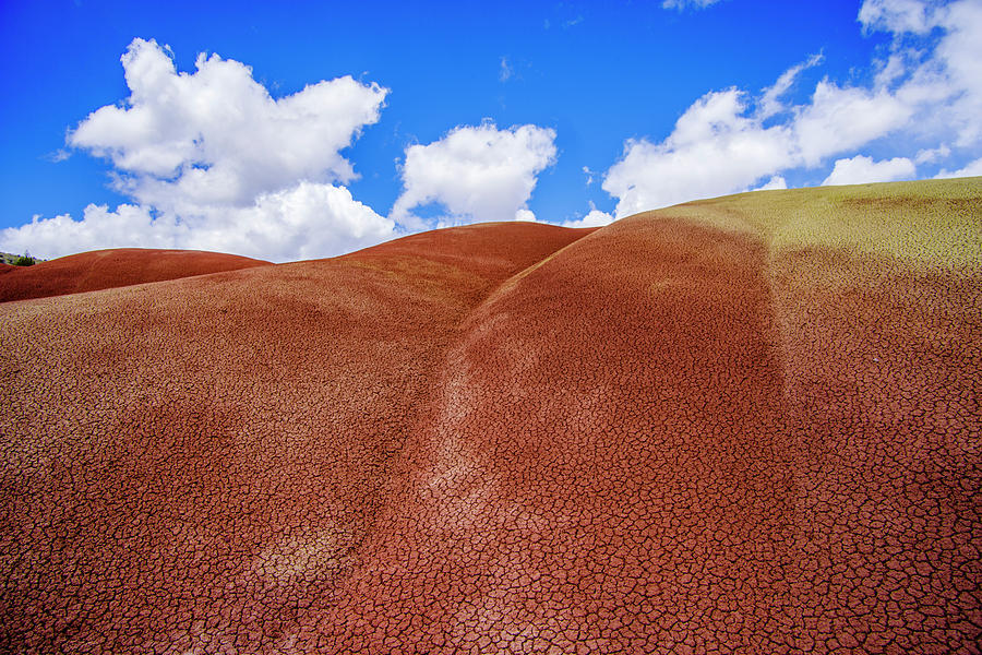 Painted Hills Playa From Overlook Trail Photograph