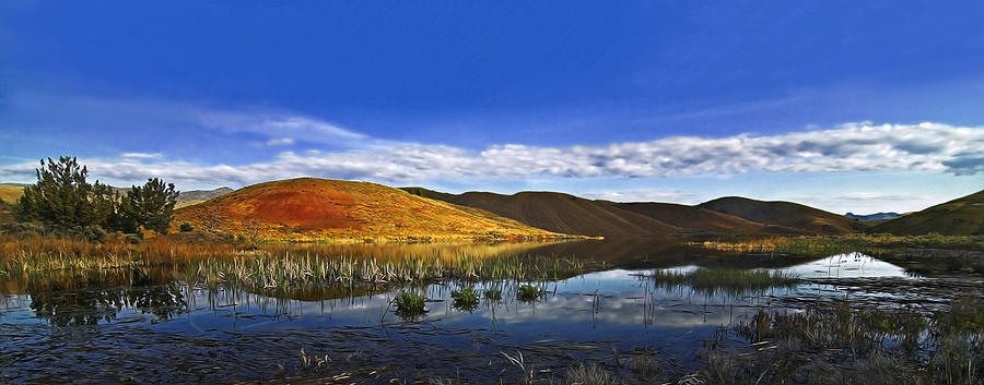 Oregon Painted Hills Reflections Photograph by John Christopher