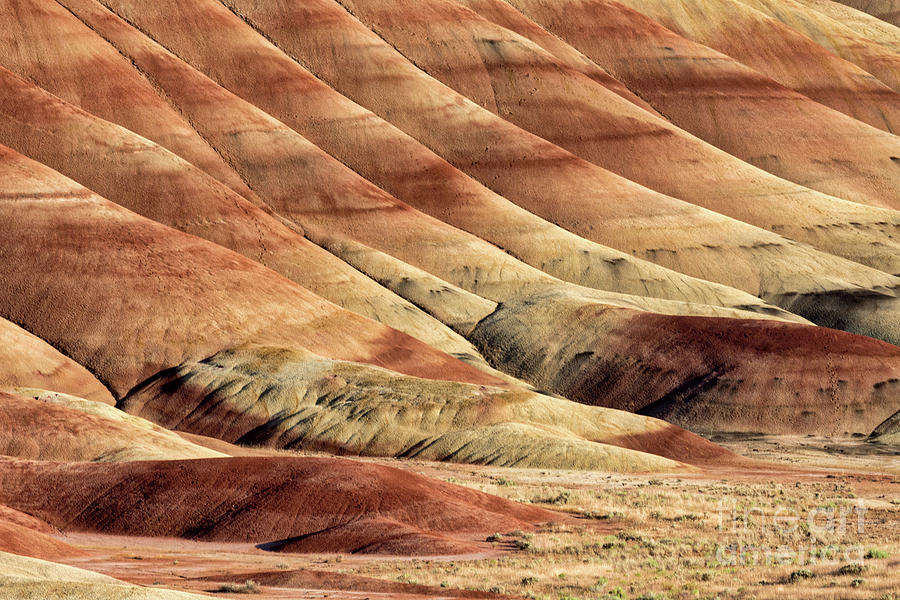 Painted Hills Textures Photograph by Jerry Fornarotto